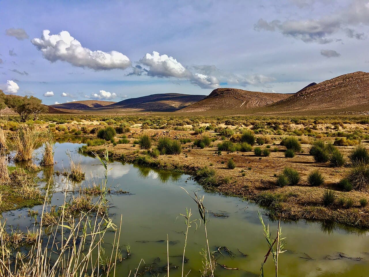Cape Winelands by Mehrmeerblau